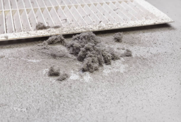 Best Affordable Duct Cleaning Services  in Assumption, IL