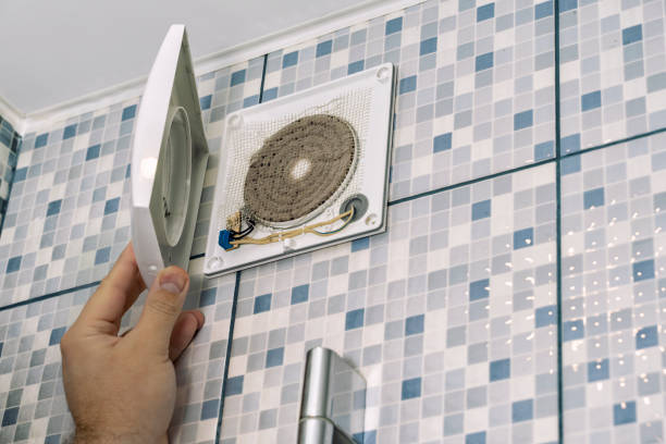Best Home Air Vent Cleaning  in Assumption, IL