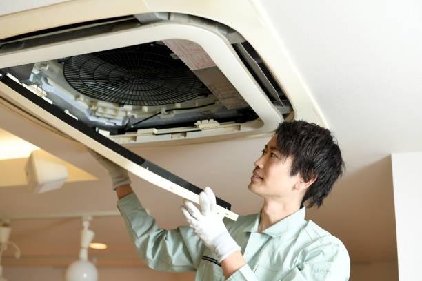 Best Affordable Air Duct Cleaning  in Assumption, IL