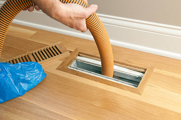 Best Affordable HVAC Duct Cleaning  in Assumption, IL
